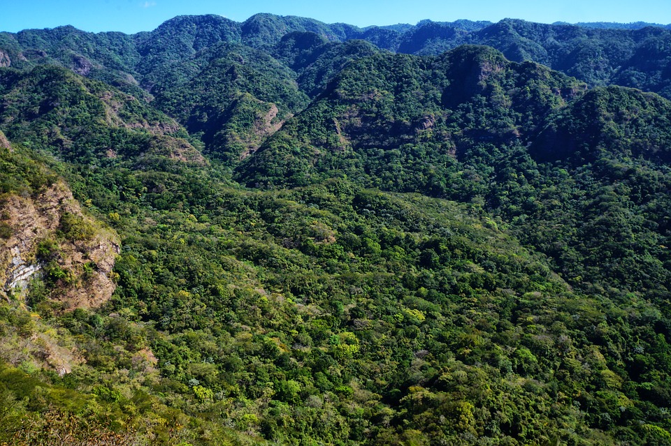 Central American Montane Forests | One Earth